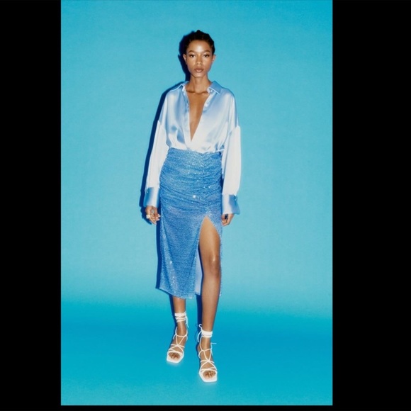 Zara sequin skirt - Picture 6 of 6